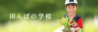 田んぼの学校